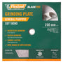 Load image into Gallery viewer, Flextool BladeTec Grinding Plate 250mm - General Purpose